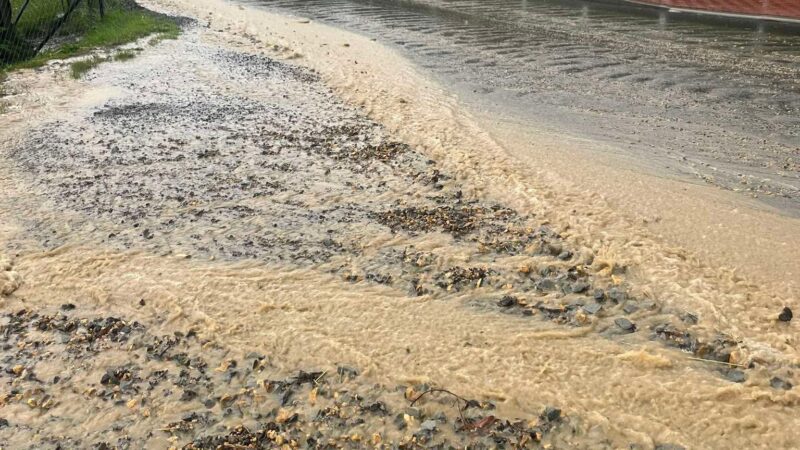 Mieszkanka oskarża wykonawcę drogi i władze gminy. Zalanie posesji na Górnym Osielcu