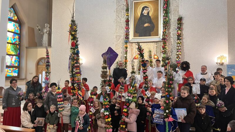 7-metrowa palma i 31 zgłoszeń. Konkurs w Naprawie rozstrzygnięty