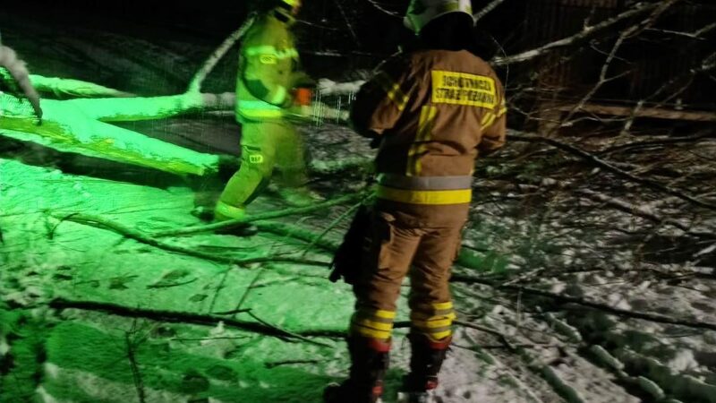 Powalone drzewo zablokowało drogę w Toporzysku