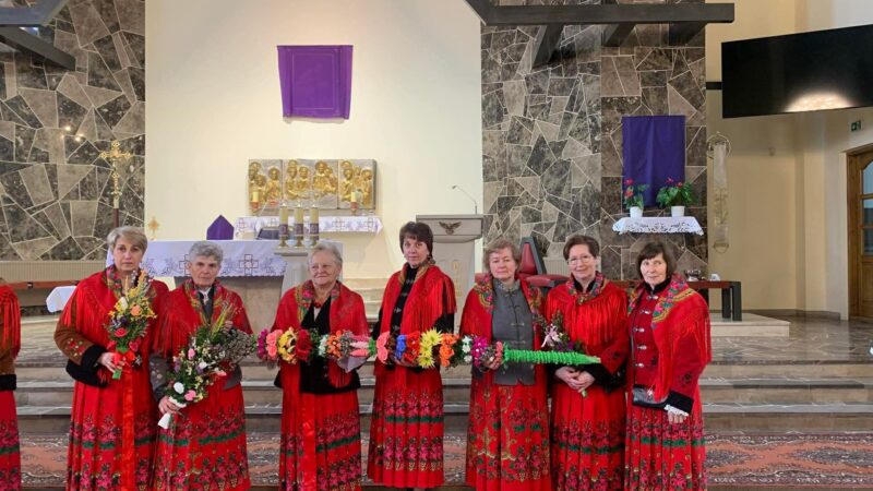 W gminie Jordanów znów wyrosły imponujące palmy. Znamy wyniki