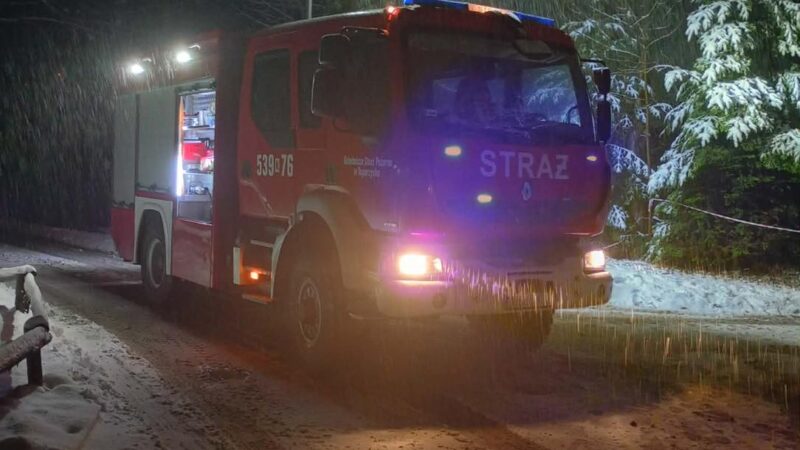 Drzewo powalone na linię energetyczną w Toporzysku