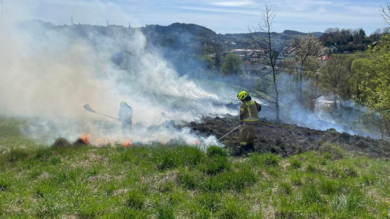 Kolejny pożar traw w Łętowni. Strażacy interweniowali