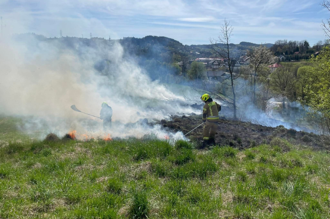 Kolejny pożar traw w Łętowni. Strażacy interweniowali