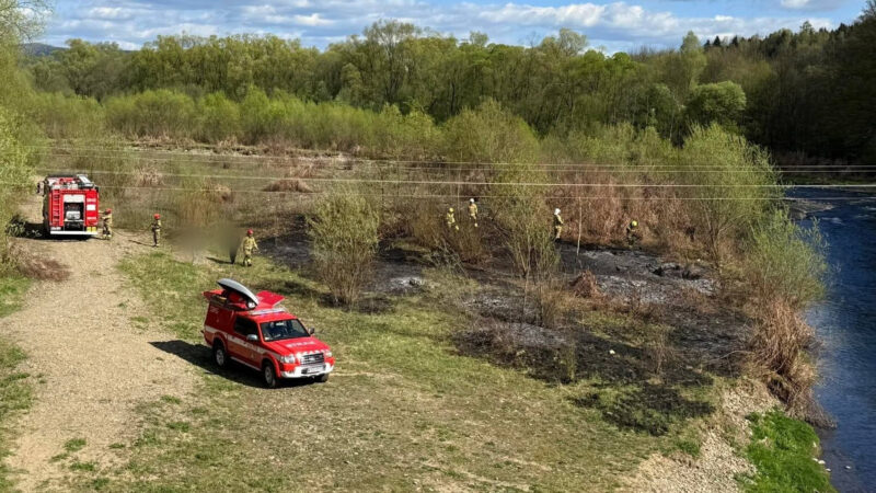 Pożar traw przy ul. Spacerowej w Makowie Podhalańskim