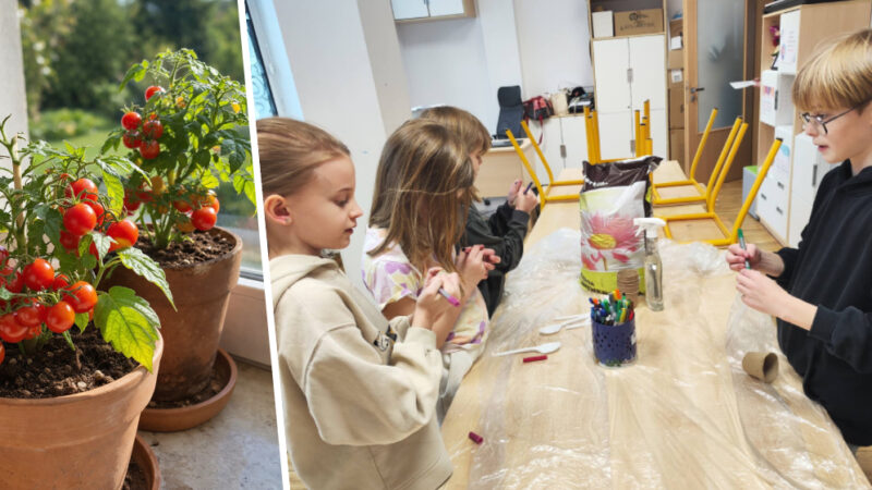 Takie zajęcia naprawdę mają sens. Dzieci z Osielca posiały własne pomidorki