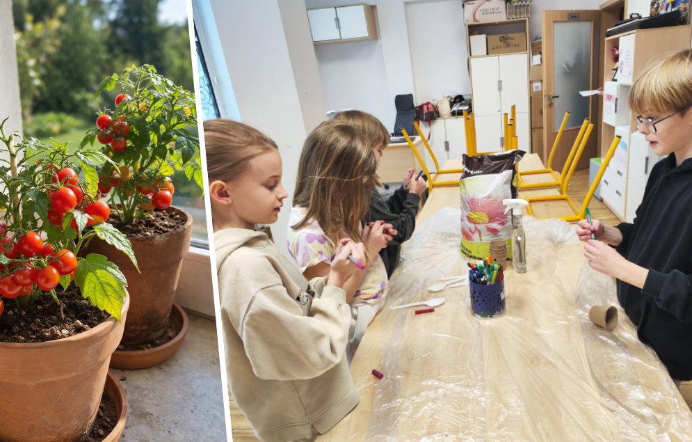 Takie zajęcia naprawdę mają sens. Dzieci z Osielca posiały własne pomidorki