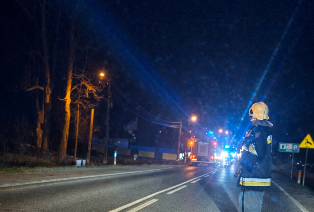Kolizja z dziką zwierzyną na DK28 w Jordanowie